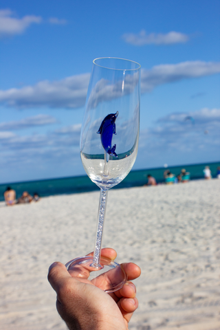 The Dolphin Champagne Flute™ Embellished w Swarovski Crystals in the Stem - Featured On Delish.com