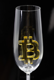 Hand Painted Bitcoin Glasses First Edition Champagne Flute with Swarovski Crystals in the Stem of the Flute - Numbered 1-12